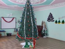 Вот какая ёлочка выросла у нас! Мы такую ёлочку видим в первый раз!